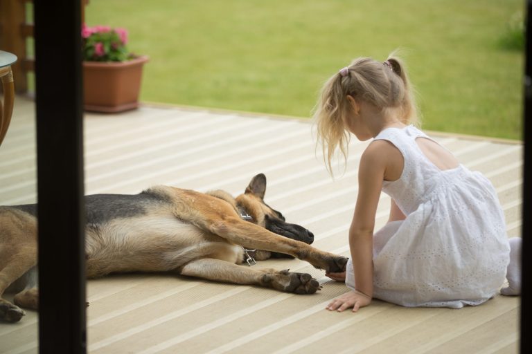 little girl holding dogs paw sitting near pet porch scaled 1
